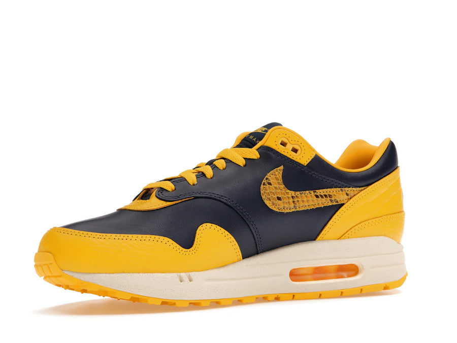 Comparatif Nike Air Max 1 CO.JP Michigan (Femme)