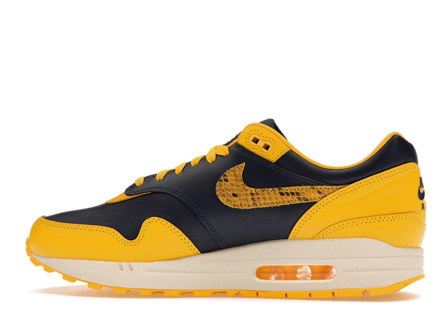 Comparatif Nike Air Max 1 CO.JP Michigan (Femme)
