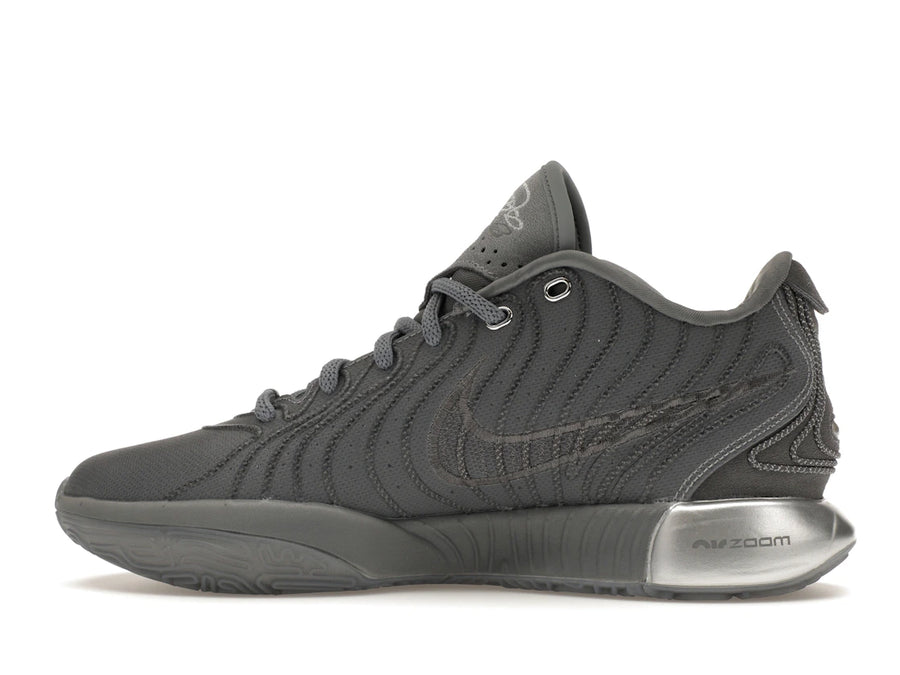 Nike LeBron 21 Gris Froid