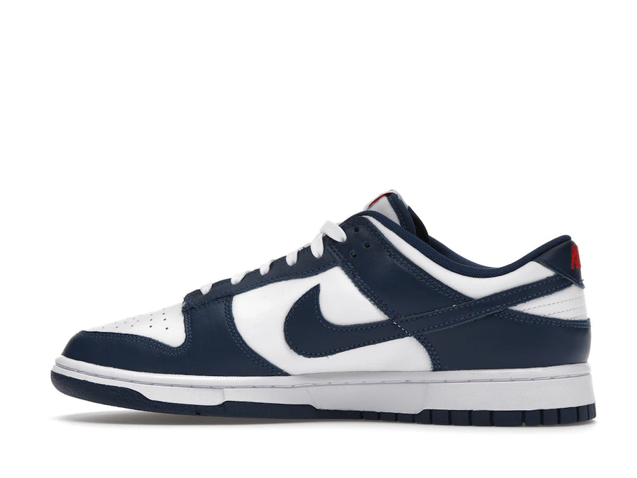 Nike Dunk Low Bleu Valérien