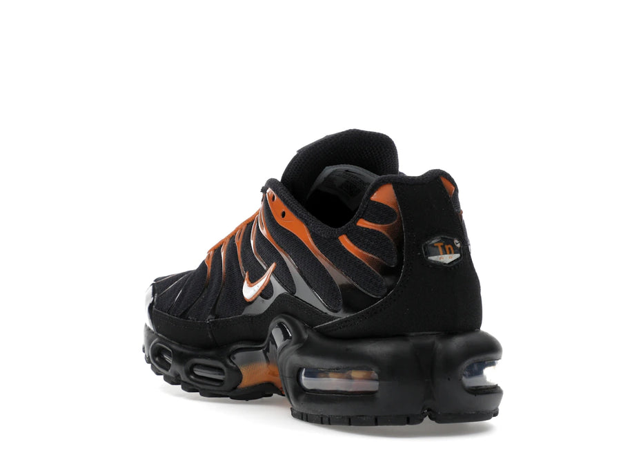 Nike Air Max Plus Dark Obsidian Monarch