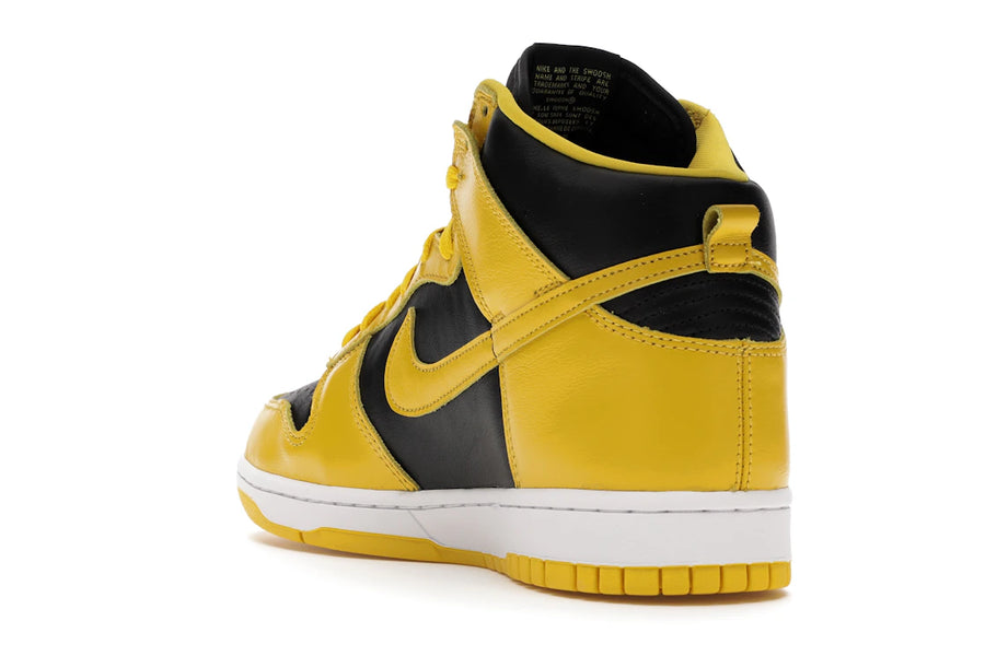 Nike Dunk High Iowa (2020)
