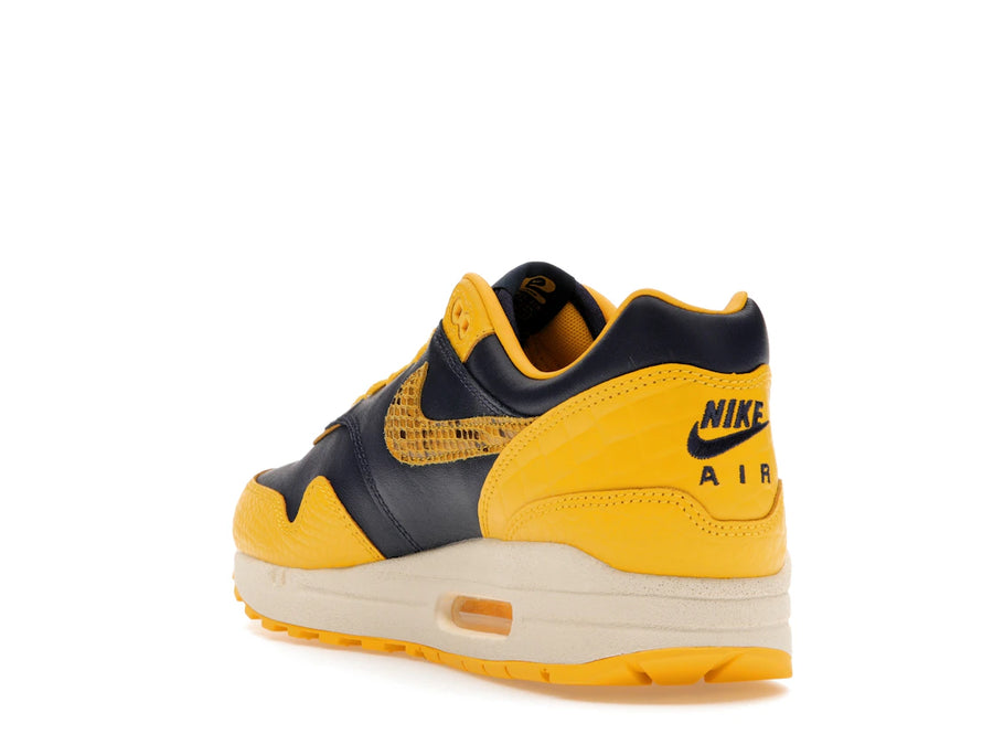 Comparatif Nike Air Max 1 CO.JP Michigan (Femme)